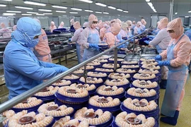越南与以色列贸易强劲增长。图自互联网