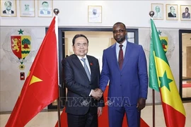 越南国会主席陈青敏会见塞内加尔总理奥斯曼·松科。图自越通社