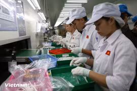 附图 图自越通社