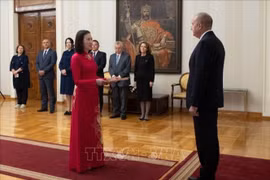 越南驻保加利亚特命全权大使阮氏明月向保加利亚总统鲁门·拉德夫递交国书。
