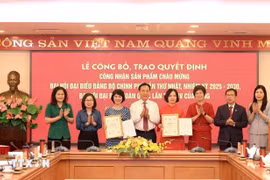 庆祝越南共产党第十四次全国代表大会和2025-2030年任期第一次政府党部代表大会典型产品发布会。图自越通社