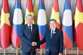 越共中央总书记苏林与老挝国会主席赛宋蓬·丰威汉。图自越通社