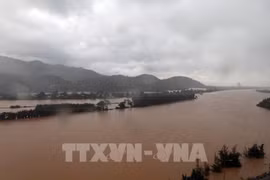 越南中部地区逾4870公顷水稻及农作物受损。图自越通社