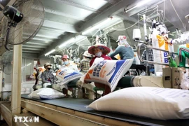 附图 图自越通社