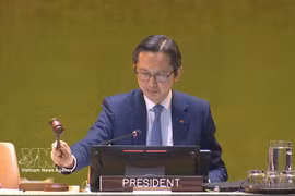 越南常驻联合国代表杜雄越。图自越通社