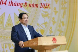 范明政总理发言。图自越通社