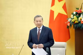 苏林总书记在会议上发表讲话。图自越通社