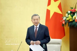 苏林总书记在会议上发表讲话。图自越通社