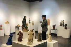 参展游客。图自越通社