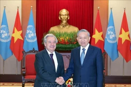越共中央总书记苏林会见联合国秘书长古特雷斯。图自越通社