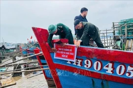 清化省各沿海地区认真同步实施多项预防和打击IUU捕捞的措施。图自越通社