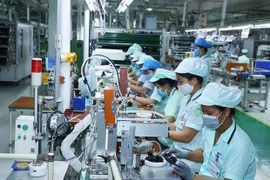 附图 图自vietnam+