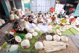 到2030年越南全国约有14万个合作组，200万名成员。图自越通社