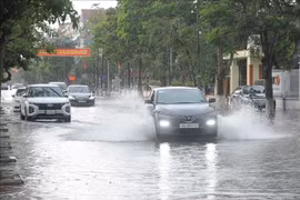 太平省暴雨致多条街道被淹没。图自越通社