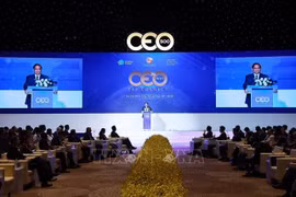 范明政总理发言。图自越通社