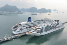 两艘巨大的"漂浮酒店"—Seabourn Encore号和Piano Land号相继靠岸。图自越通社