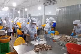 前 10 个月，越南水产品出口额约达 93.1 亿美元，同比增长约 12.9%。图自越南人民报