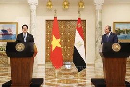 越南国家主席梁强与埃及总统塞西共同会见记者。图自越通社