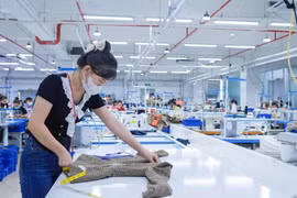 2025年8月，越南货物进出口规模实现跨越式发展。图自越通社