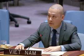 ,越南常驻联合国代表团临时代办阮黄原公使发言。图自越通社