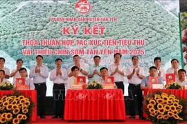 关于推进2025年新安县早熟荔枝销售的合作谅解备忘录。图自越通社