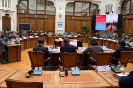 胡德福一行与俄罗斯央行副行长阿列克谢·古兹诺夫举行工作会谈。图自越通社