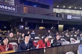 越南常驻联合国教科文组织代表团团长阮氏云英大使出席会议。