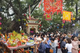大年初一的清晨，河内民众争相前往寺庙，烧香拜佛。图自越通社