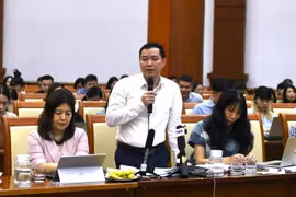 越南财政部财政预算司代表发言。图自越通社