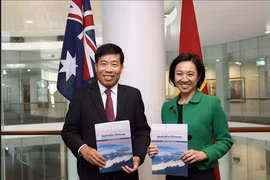 越南外交部副部长阮孟强与澳大利亚外交部副部长米歇尔·陈。图自越通社