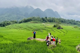 越南旅游业向绿色可持续方向转型。图自越通社