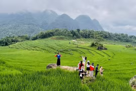 越南旅游业向绿色可持续方向转型。图自越通社