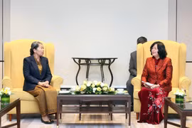 越南祖国阵线中央委员会主席裴氏明怀会见了柬埔寨人民党（CPP）副主席、柬埔寨祖国发展团结阵线国家委员会主席、柬越友好协会主席梅森安。图自越通社