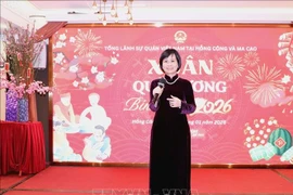 越南驻港澳总领事黎德幸在活动上发言。图自越通社