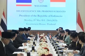 泰国总理佩通坦·钦那瓦与印度尼西亚总统普拉博沃·苏比安托在曼谷举行高级别会谈。图自越通社