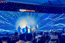 “出口突破：越南品牌走向全球”会议举行。图自越南之声