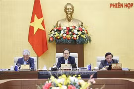 国会主席陈青敏发言。图自越通社