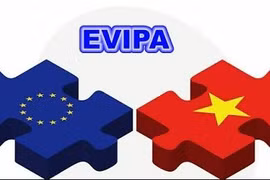 附图。图自互联网