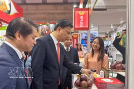 越南驻日本大使范光校参观越南展位。图自越通社