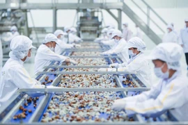 TH集团位于山罗的农产品加工厂。图自越南人民报