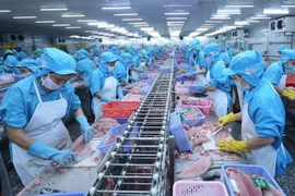 2025年6月越南水产品出口额8.76亿美元。图自越通社