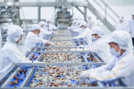 TH集团位于山罗的农产品加工厂。图自越南人民报