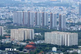 胡志明市推进两级地方政府改革。图自越通社