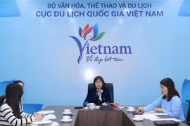 越南国家旅游局副局长阮氏花梅在新闻发布会上发表讲话。图自越通社