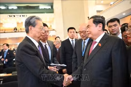 越南国会主席陈青敏会见中国全国人大常委会委员长赵乐际。越通社发