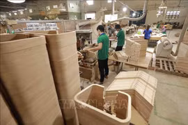 附图 图自越通社