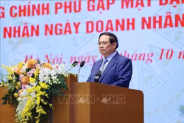 范明政总理发言。图自越通社