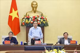 国会主席陈清敏发言。图自越通社