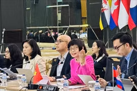 越南常驻东盟代表团团长尊氏玉香大使（分红衣）主持会议。图自越通社