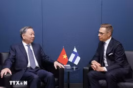 越共中央总书记苏林会见芬兰总统亚历山大·斯图布。图自越通社